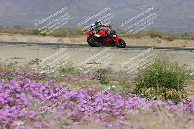 media/Feb-04-2023-SoCal Trackdays (Sat) [[8a776bf2c3]]/Turn 15 Inside Blooming (1050am)/